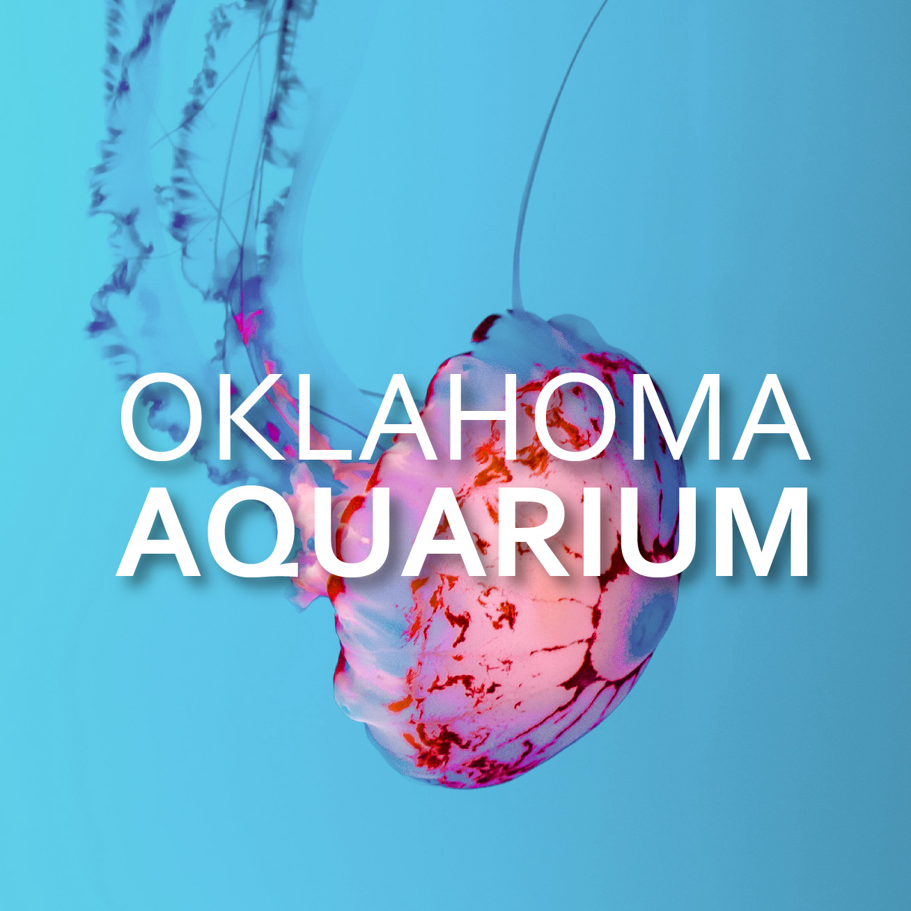 Oklahoma Aquarium Social Media